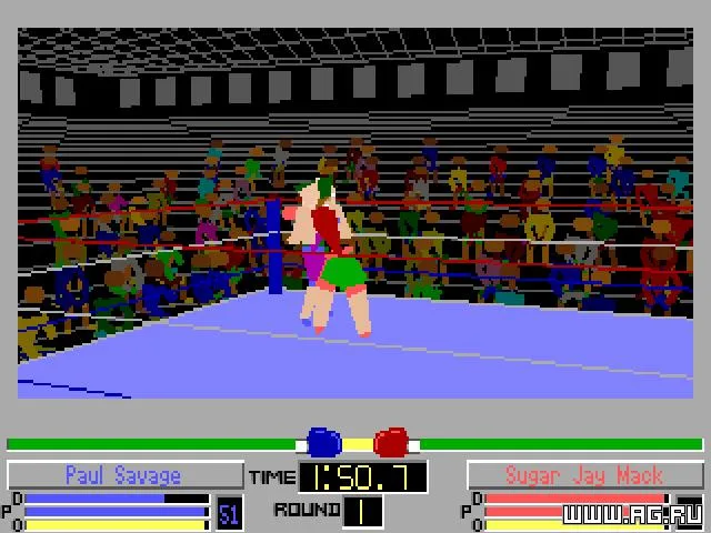 4D Sports Boxing