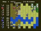 Nobunaga's Ambition (WII)