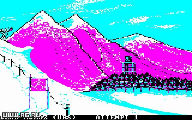 Winter Games (WII)